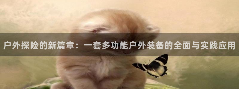 新宝GG创业奇迹