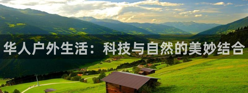 新宝GG用哪个网址登录