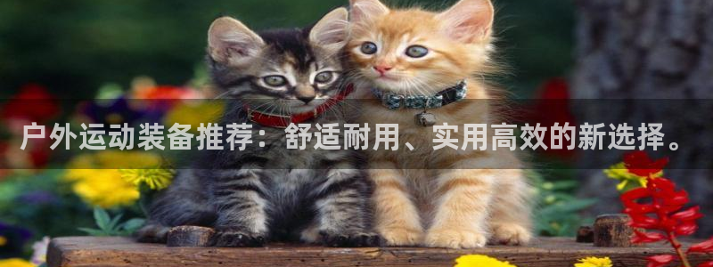 新宝gg怎么做代理