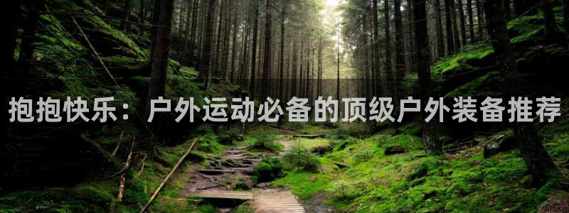 新宝gg返点模式