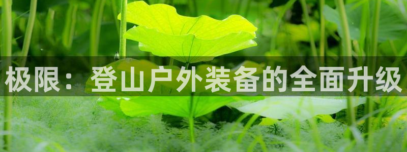 新宝gg开奖结果可信吗