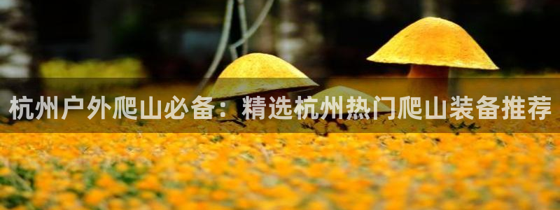 新宝gg如何代理