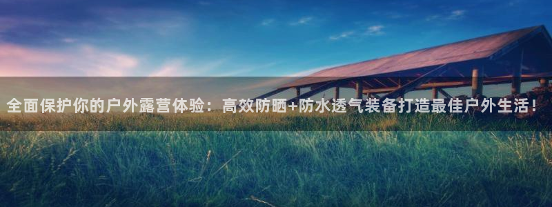 新宝gg入口网址