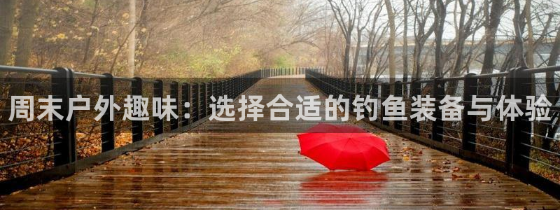 广东新宝电器gg